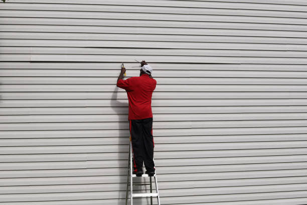 Best Siding Painting and Refinishing  in Cedar Grove, WI